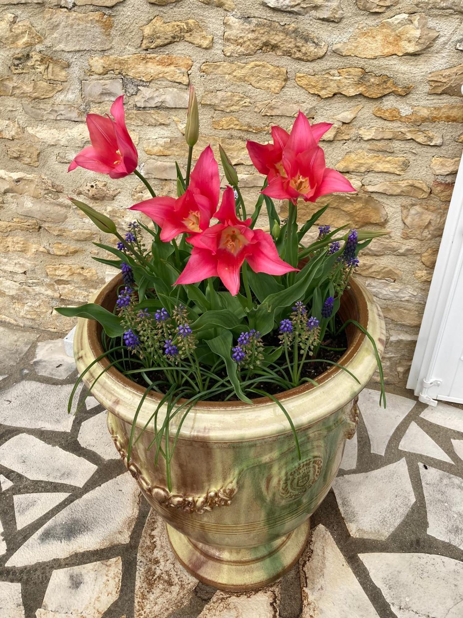 La Grange Bed & Breakfast Blanzay Bagian luar foto